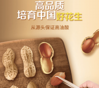 无论煎炸仍是凉拌